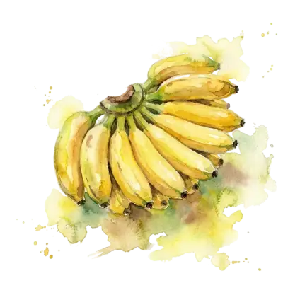 香蕉-越旦(台北二)