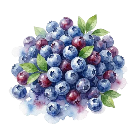 藍莓-進口(台北二)