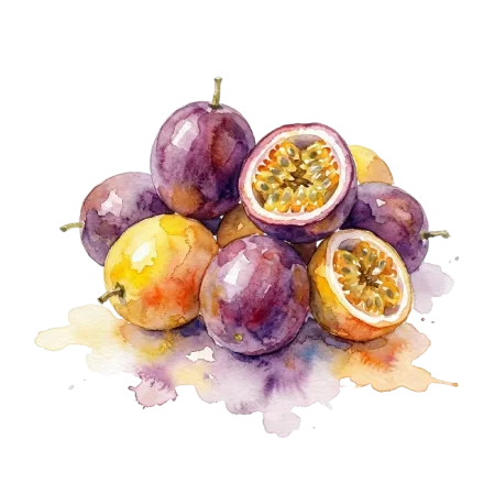 百香果-改良種(台北二)