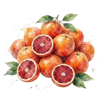 甜橙-進口(台北二)